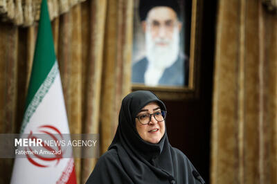 مهاجرانی: هتل و مهمانسراها پذیرای افراد آسیب‌دیده در جنگ هستند