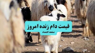 گوسفند زنده در این استان ارزان‌تر است | اعلام قیمت دام زنده امروز دوشنبه ۹ تیر ۱۴۰۴