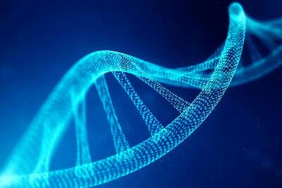 آغاز پروژه بحث‌برانگیز ساخت DNA انسان