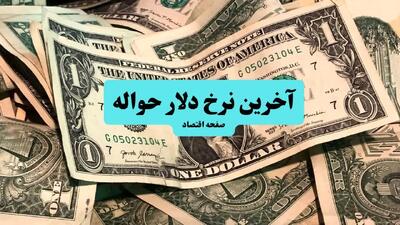 حواله چقدر شد؟ / قیمت حواله دلار امروز دوشنبه ۹ تیر ماه ۱۴۰۴