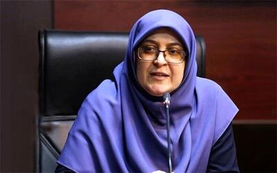 سخنگوی دولت: ذخایر استراتژیک دست‌نخورده مانده است
