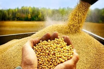توزیع ۷۵ تن کالای اساسی برای حمایت از تولید کنندگان البرزی