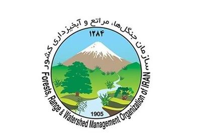 پاسخ «سازمان منابع طبیعی و آبخیزداری کشور»  به گزارش «شرق»