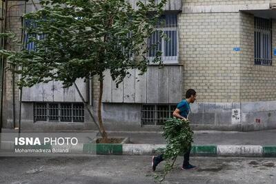 پیش بینی هوای 6 استان کشور فردا سه شنبه 10 تیرماه/وزش باد شدید و افزایش ارتفاع امواج در جنوب کشور