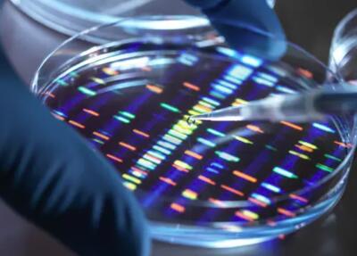 اولین پروژه DNA مصنوعی انسان در جهان، هم امیدها و هم ترس‌ها را برمی‌انگیزد