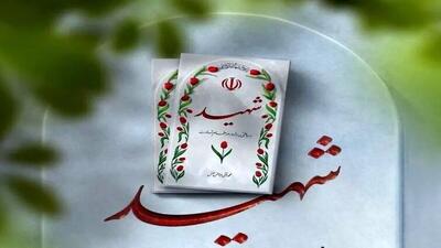 جدیدترین آمار تعداد شهدای حمله اسرائیل به ایران