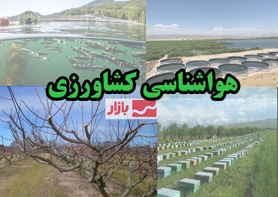 کشاورزان و گلخانه داران هشدار وزش باد را جدی بگیرند