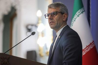 بقائی: اصرار گروسی برای بازدید بازرسان قابل درک نیست