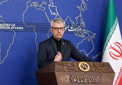 بقائی: مقامات آلمانی از ادبیات هیتلر استفاده می‌کنند/ قانون مجلس لازم الاجرا است - تسنیم