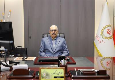 لزوم جذب تسهیلات بانکی مشاغل خانگی در خراسان جنوبی تا پایان تیرماه - تسنیم