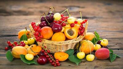 فرصت طلایی برای باغداران مازندرانی؛ دلال‌ها را حذف می‌کنیم، صادرکنندگان را حمایت