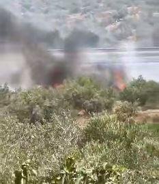 شهرک‌نشینان مزارع فلسطینی‌ها را در نابلس به آتش کشیدند