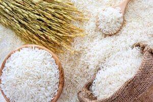 تغییرات قیمت برنج ایرانی در بازار