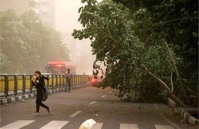 تهرانی ها خودشان را برای گرد و خاک آماده کنند | هوا از پنجشنبه گرمتر می شود