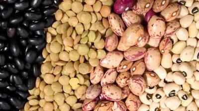 جدیدترین قیمت‌های مصوب حبوبات وارداتی اعلام شد