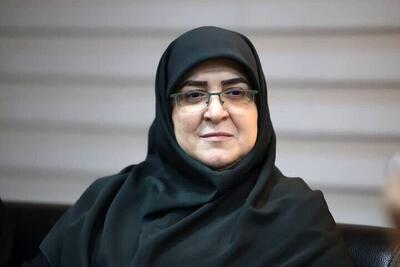 مهاجرانی: در جنگ ۱۲ روزه تحمیلی شاهد شلیک به صلح، علم و رسانه بودیم
