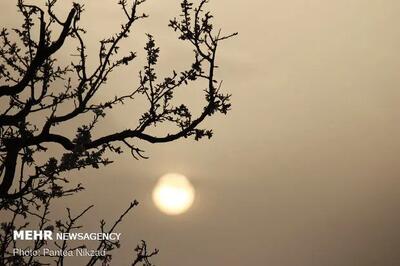 آلودگی هوا در خوزستان؛ ۱۲۰۰ نفر راهی بیمارستان شدند