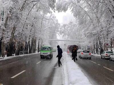 جایی برای لذت از قلب پایتخت و دیدنی های میدان ولیعصر
