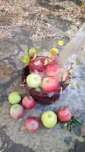 فال و طالع بینی روزانه 10 تیر