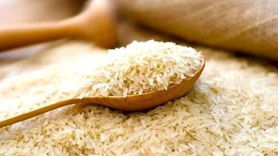 قیمت برنج افسار پاره کرد + علت ها