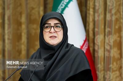 مهاجرانی: ذخایر استراتژیک همچنان دست‌نخورده مانده است