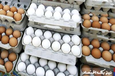 قیمت تخم‌مرغ امروز ۱۰ تیر ۱۴۰۴ + جدول