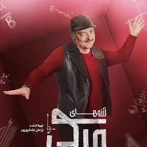 عزیزم تو دیگه آچار فرانسه نیستی تو خود جعبه ابزاری!