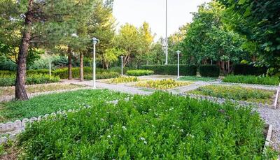 ۸۰ هکتار از فضای سبز شهر خرم‌آباد با آب شرب آبیاری می‌شود