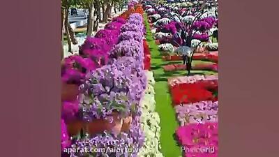 دعایی برای سلامتی همه | دعا برای شفای مریض ها