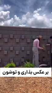 آموزش ساخت دیوار سبز
