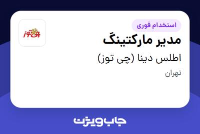 استخدام مدیر مارکتینگ در اطلس دینا (چی توز)