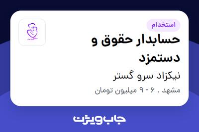 استخدام حسابدار حقوق و دستمزد در نیکزاد سرو گستر