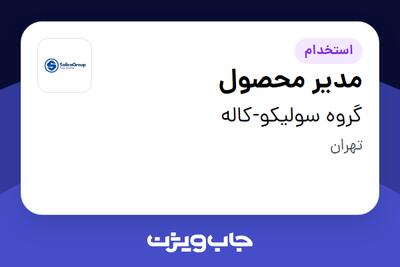 استخدام مدیر محصول در گروه سولیکو-کاله