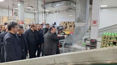 بازدید استاندار از ۲ واحد تولیدی مواد غذایی در قزوین