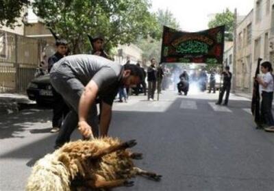 دامپزشکی خراسان جنوبی: ذبح دام در معابر عمومی ممنوع است - تسنیم