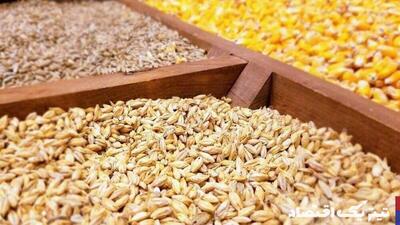 قیمت جو تولید داخل به ۲۰ هزارتومان رسید