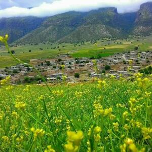روستای حسن گاوداری؛ نگینی در میان کوه‌های سربه ‌فلک‌ کشیده سیروان