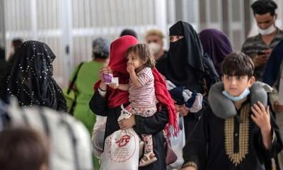 آخرین جزییات از وضعیت ساماندهی ۶ میلیون تبعه خارجی به‌صورت مجاز و غیرمجاز