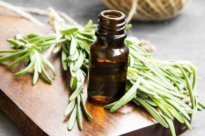 چگونه از روغن رزماری برای موها استفاده کنیم؟ | اقتصاد24