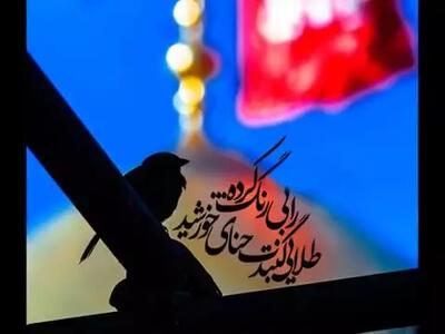 نوحه یزدی، حسین سعادتمند، اگر طغیان فراوان شد