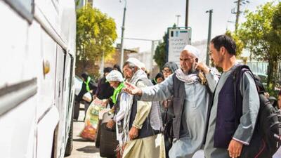 آخرین گزارش از روند اخراج اتباع غیر مجاز