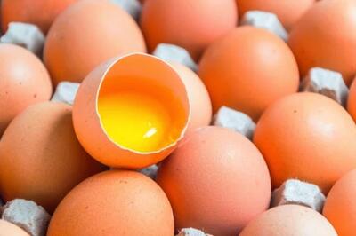 با تخم مرغ شامپوی تقویت و براق کننده مو بسازید - سبک ایده آل