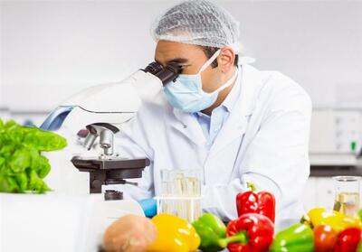 ساخت نانوحسگری که سلامت غذا را در 15 دقیقه آزمایش می‌کند - تسنیم