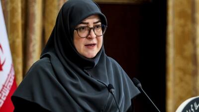 سخنگوی دولت: خیمهٔ هنر به افزایش تاب‌آوری کمک می‌کند
