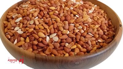 الوک یا بادام کوهی؛تحفه ای از  زاگرس | زرچین