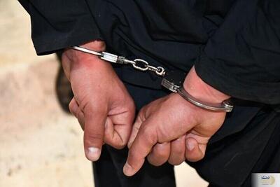 عملیات بزرگ در محمودآباد/ جمع‌آوری ۲۶ تبعه غیرمجاز!