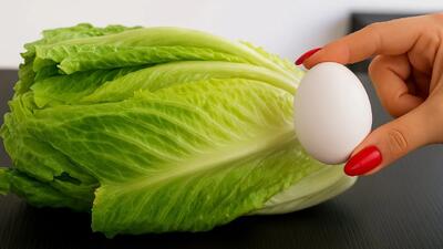 شاهکار کاهو و تخم مرغ و یه لقمه بخوری نمیتونی متوقفش کنی و هفته ای دو بار درستش می کنم!