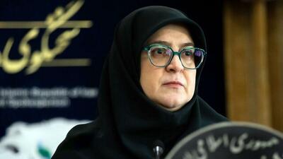 سخنگوی دولت: خیمهٔ هنر به افزایش تاب‌آوری کمک می‌کند/ تأثیر هنر در موضوعات معنوی