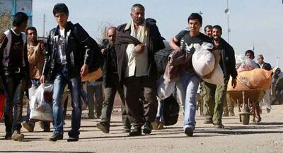 کدام اتباع به کشورشان بازگردانده می‌شوند؟ | جهان نیوز