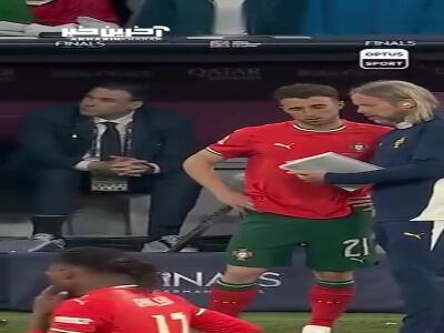 قهرمانی در لیگ ملت‌های اروپا، نتیجه آخرین بازی دیوگو ژوتا و کریستیانو رونالدو در کنار یکدیگر